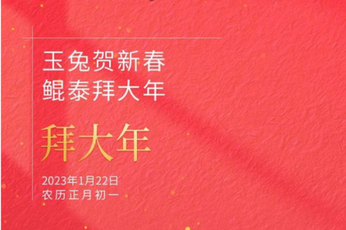 玉兔贺新春 神州拜大年